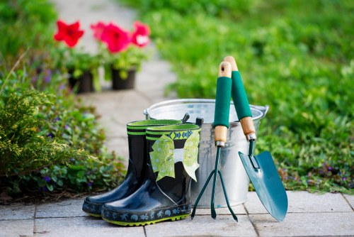 Senior gardener inspecting a lawn as part of a complaint review