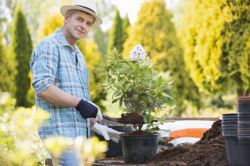 A man wearing a straw hat, a blue checkered shirt, and gardening gloves is working in a neatly maintained garden with a variety of plants and trees, illuminated by bright natural sunlight. He is tending to a potted flowering shrub with white blossoms, positioned on a wooden garden table, alongside containers and gardening tools. In the background, there are tall, lush green trees and well-trimmed bushes that create a natural enclosure around the outdoor space. The garden features a well-defined flower bed border and a grassy lawn with dense, vibrant green grass. The scene captures a peaceful outdoor environment typical of a landscaped backyard or front garden. The lighting suggests a warm, clear day, ideal for outdoor gardening and maintenance activities. This image is relevant to gardening services offered by Garden Maintenance Highgate, highlighting the care, planting, and outdoor upkeep typical of professional garden management in the Highgate area near postcode N6.